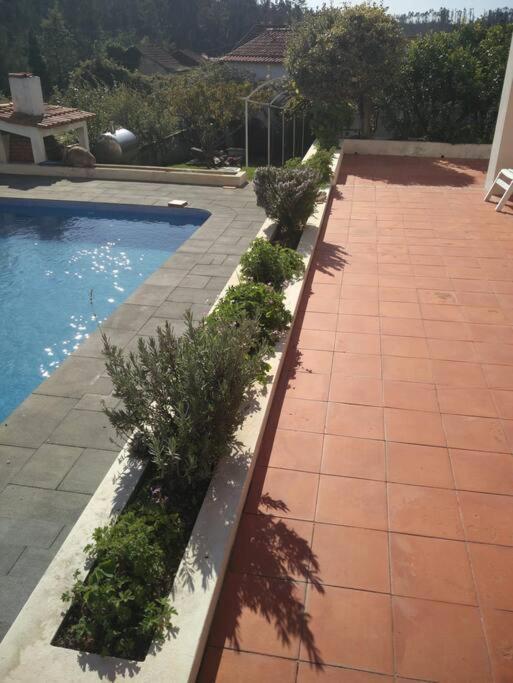 Vila Citrus Tree House, Private Pool And Garden. Angeja Exteriér fotografie