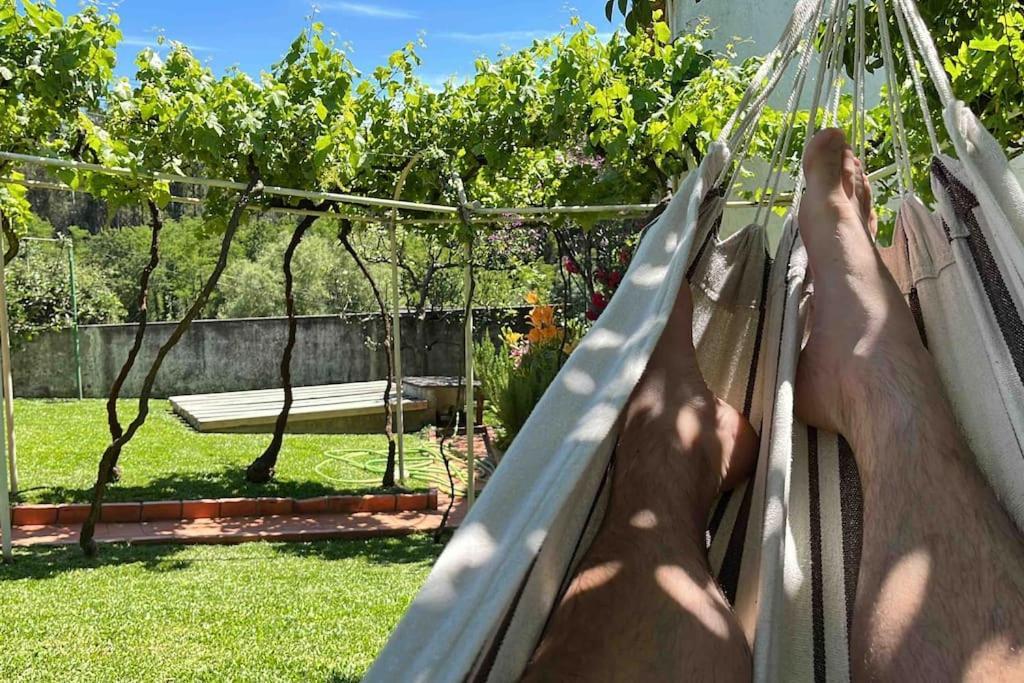 Vila Citrus Tree House, Private Pool And Garden. Angeja Exteriér fotografie